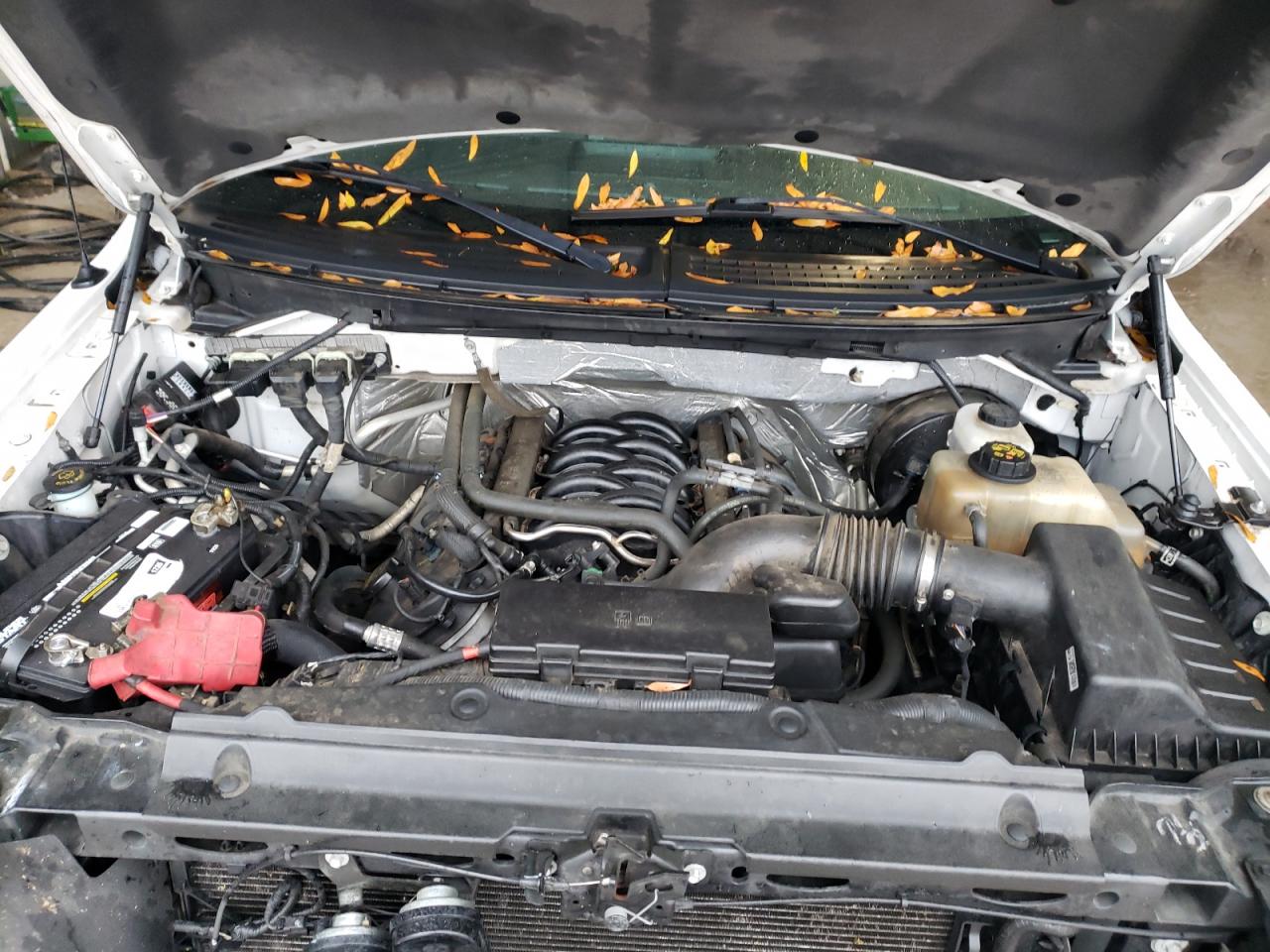 Photo 7 from auction – 2013 FORD F150 SUPER with VIN 1FTFW1CF5DFA32038