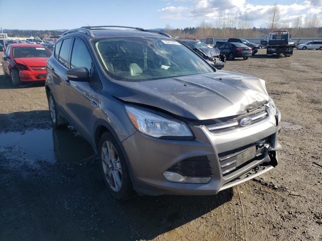 FORD ESCAPE TIT 2014 with VIN 1FMCU0JX4EUC54173 - Photo from auction