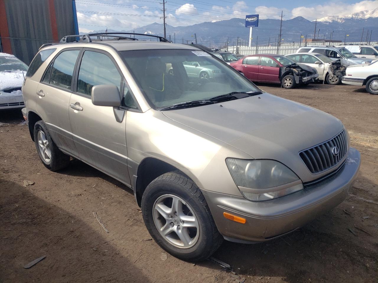 LEXUS RX 300 1999 with VIN JT6HF10U1X0028627 - Photo from auction