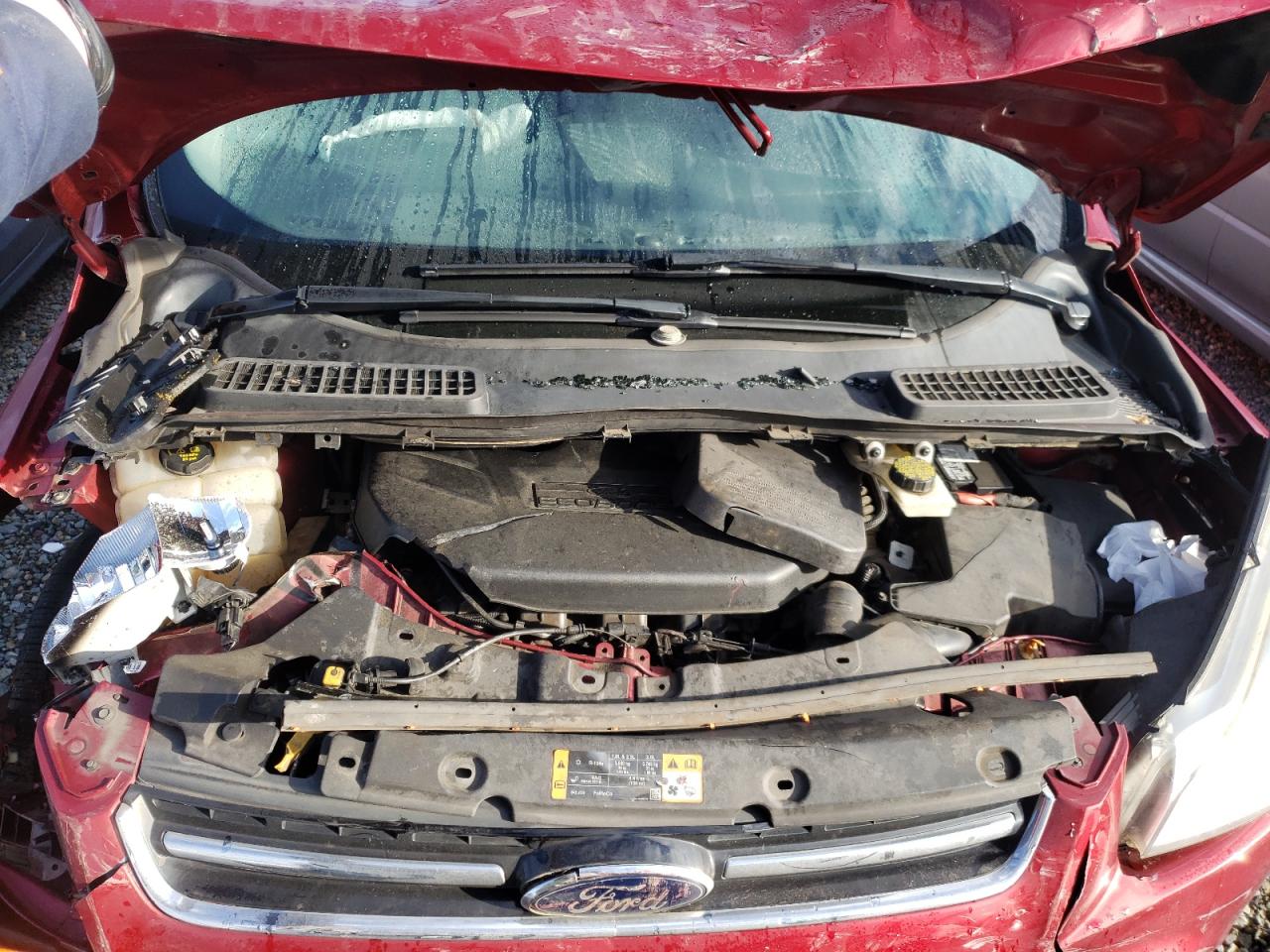 Photo 7 from auction – 2014 FORD ESCAPE TIT with VIN 1FMCU0J95EUA79336