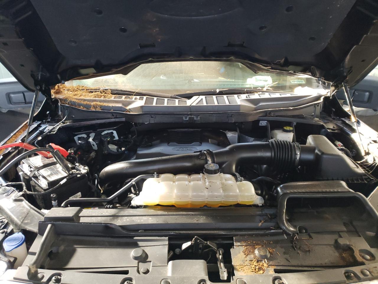 Photo 7 from auction – 2021 FORD F150 SUPER with VIN 1FTFW1E86MFA68349