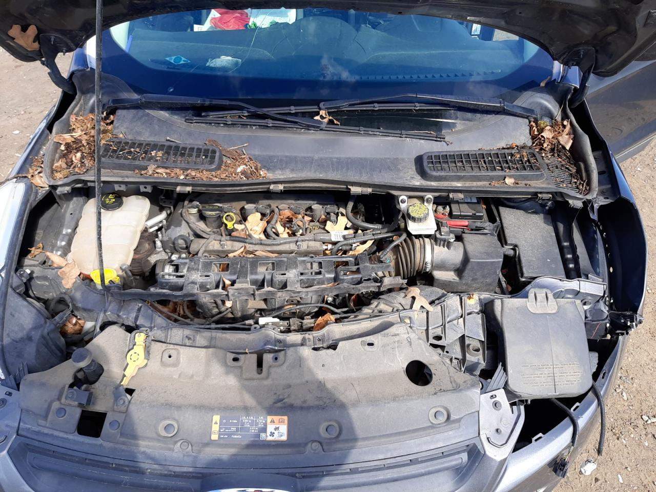 Photo 7 from auction – 2014 FORD ESCAPE S with VIN 1FMCU0F75EUA58011
