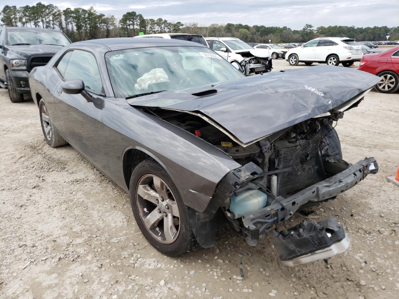 DODGE CHALLENGER 2014 with VIN 2C3CDYAG4EH270111 - Photo from auction