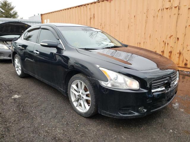 NISSAN MAXIMA S 2011 with VIN 1N4AA5AP2BC819111 - Photo from auction