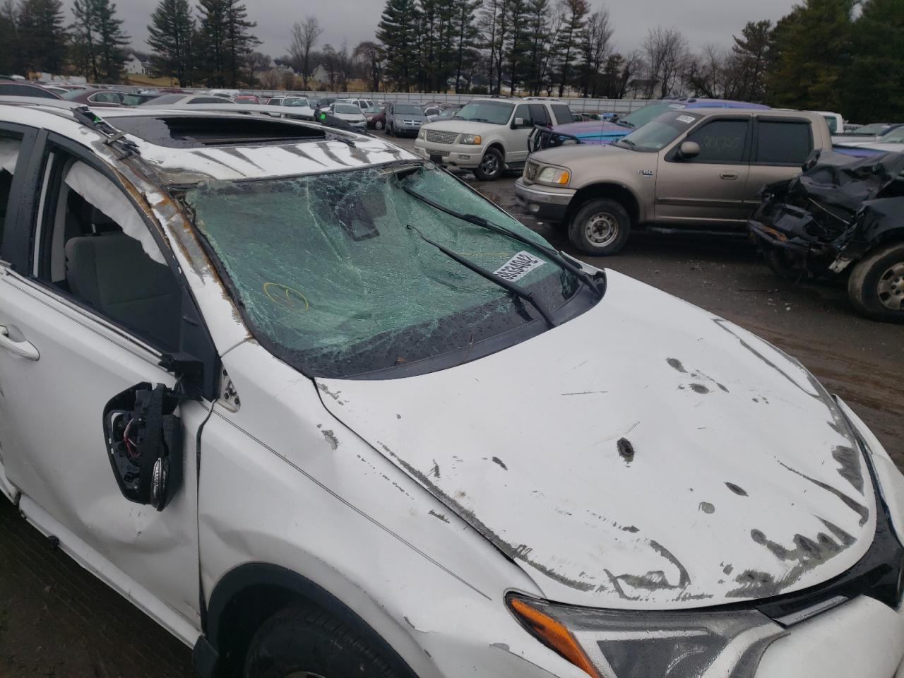Photo 9 from auction – 2016 TOYOTA RAV4 XLE with VIN 2T3RFREV7GW478095