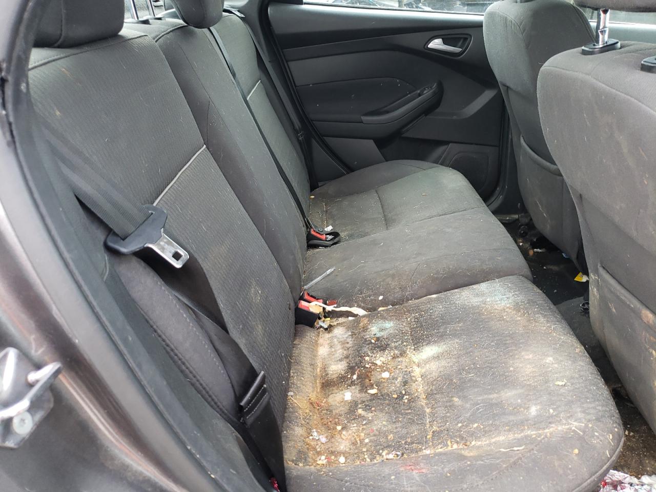 Photo 6 from auction – 2012 FORD FOCUS SEL with VIN 1FAHP3H2XCL393150