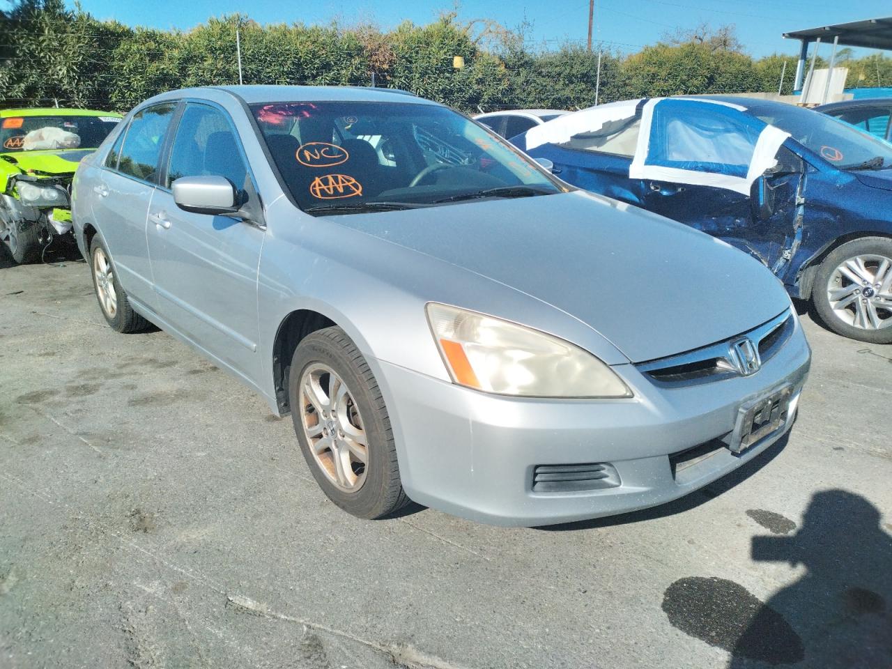 HONDA ACCORD SE 2007 with VIN JHMCM56337C024963 - Photo from auction