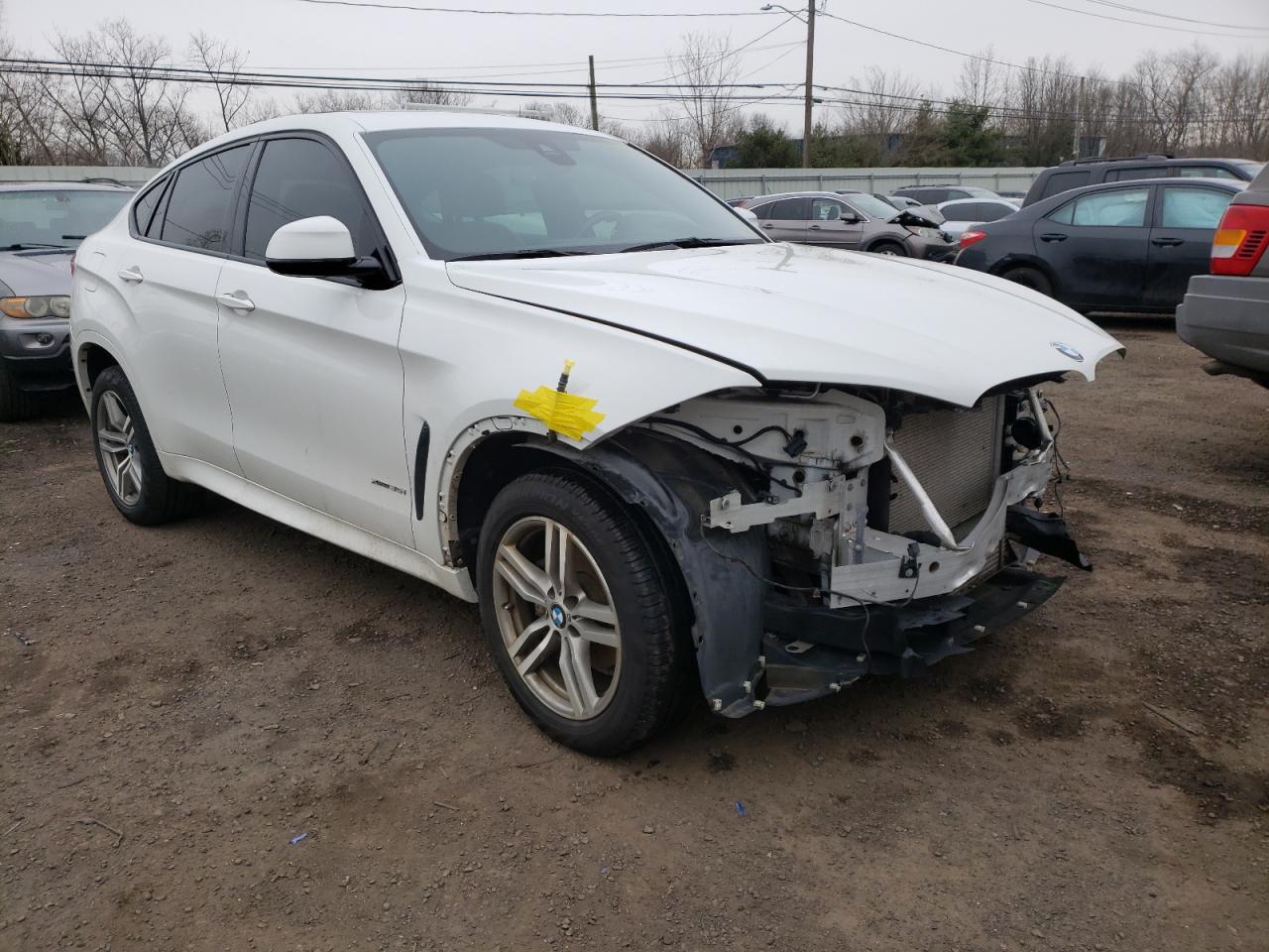 BMW X6 XDRIVE3 2016 with VIN 5UXKU2C58G0N79411 - Photo from auction