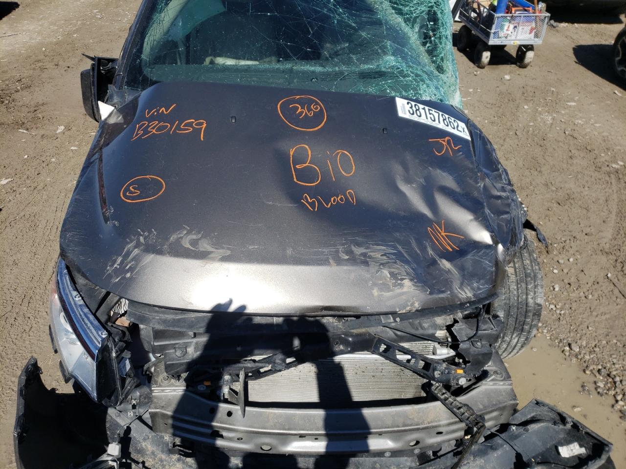 Photo 7 from auction – 2013 FORD EDGE SEL with VIN 2FMDK4JC0DBB30159