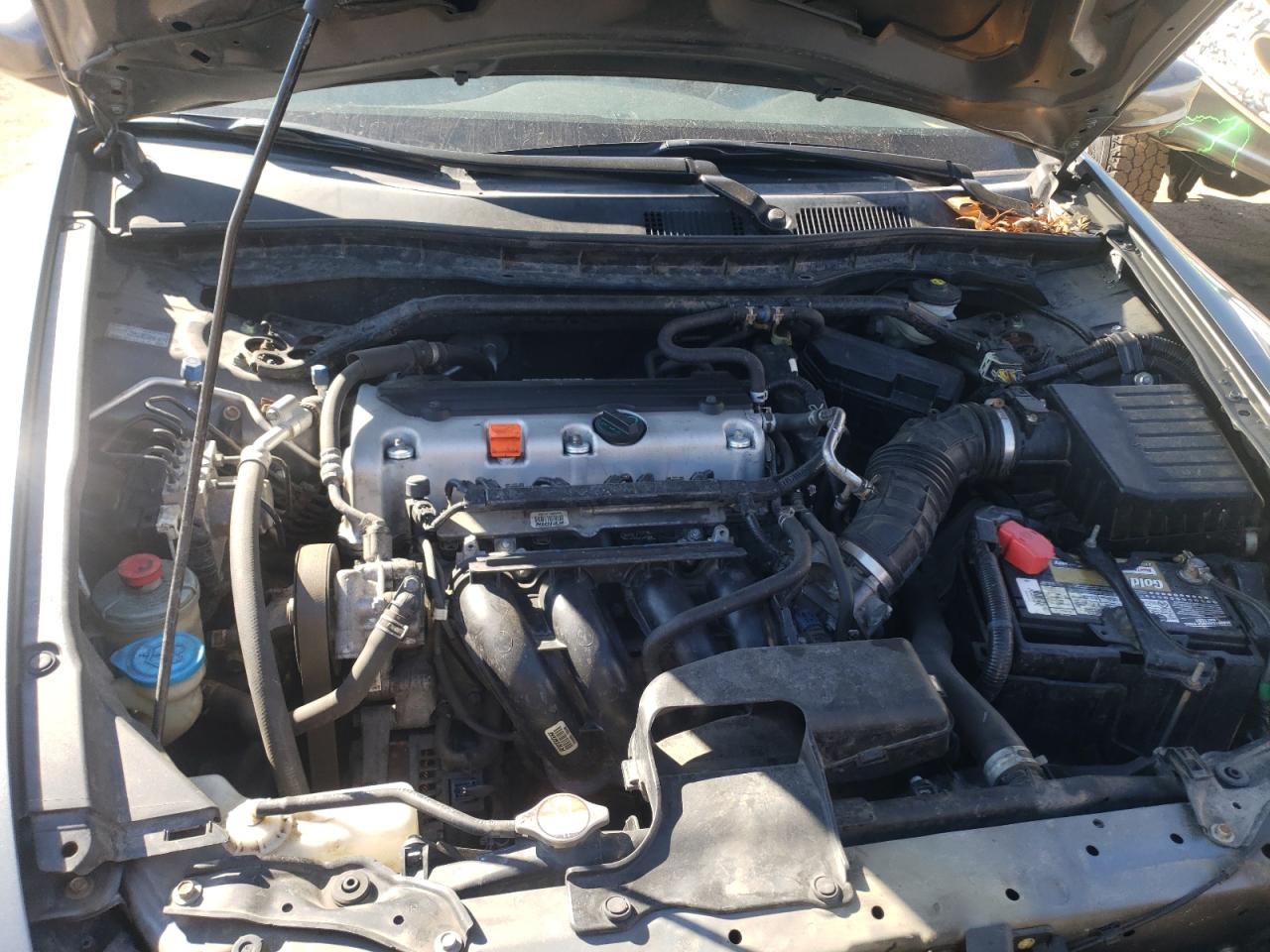 Photo 7 from auction – 2010 HONDA ACCORD EXL with VIN 1HGCP2F81AA103992