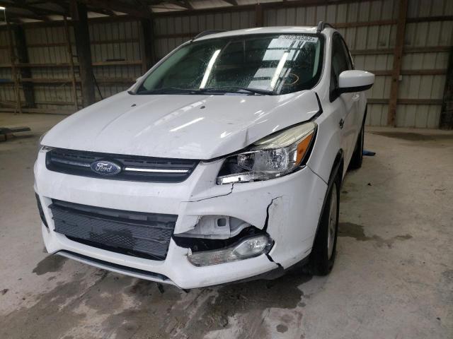 Photo 9 from auction – 2014 FORD ESCAPE SE with VIN 1FMCU0GX8EUC67063