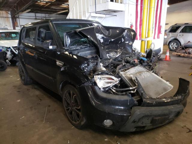 KIA SOUL 2010 with VIN KNDJT2A24A7700264 - Photo from auction