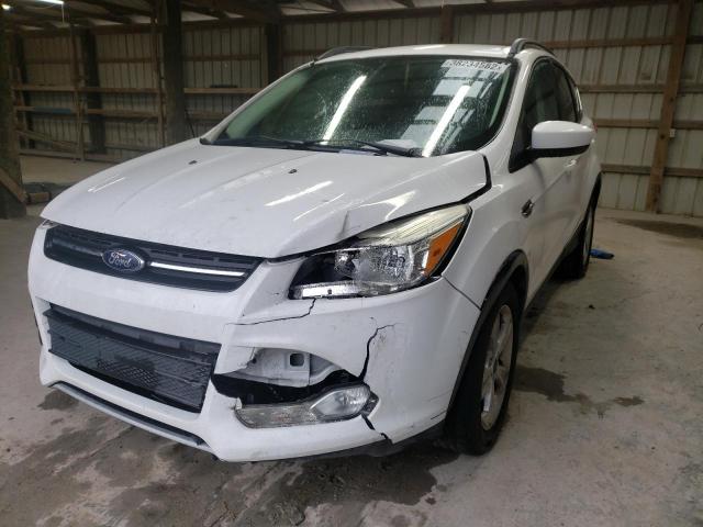 Photo 2 from auction – 2014 FORD ESCAPE SE with VIN 1FMCU0GX8EUC67063