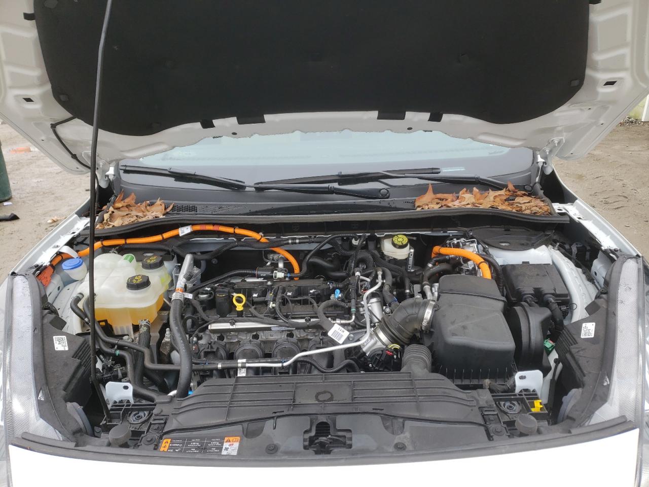 Photo 7 from auction – 2020 FORD ESCAPE SE with VIN 1FMCU0BZ3LUC17001
