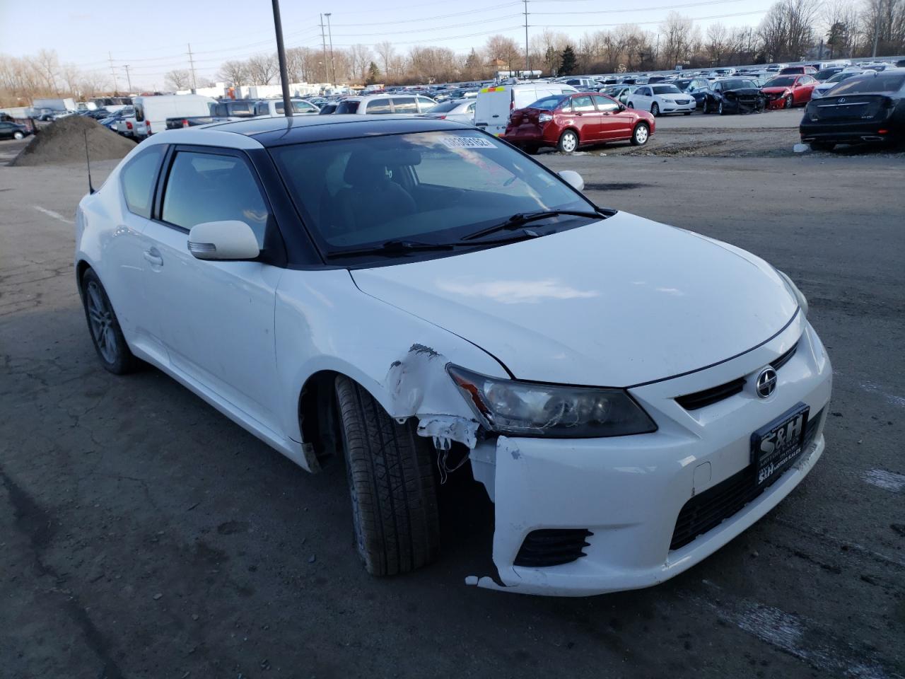 TOYOTA SCION TC 2013 with VIN JTKJF5C71D3045552 - Photo from auction