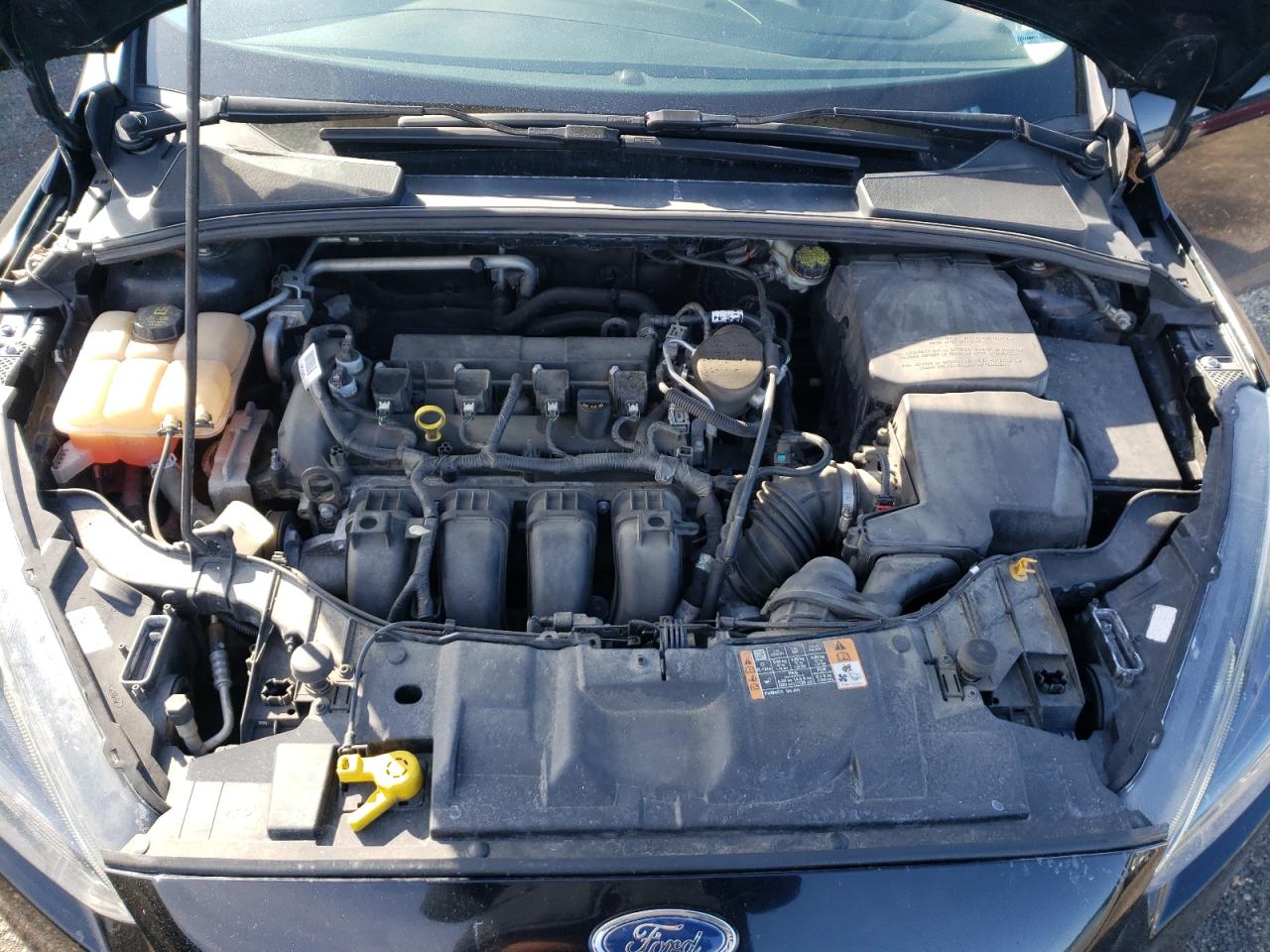 Photo 7 from auction – 2016 FORD FOCUS SE with VIN 1FADP3F21GL202402