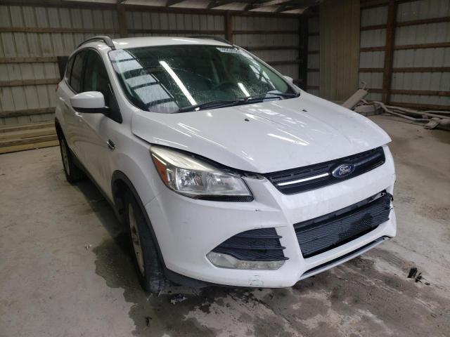 FORD ESCAPE SE 2014 with VIN 1FMCU0GX8EUC67063 - Photo from auction