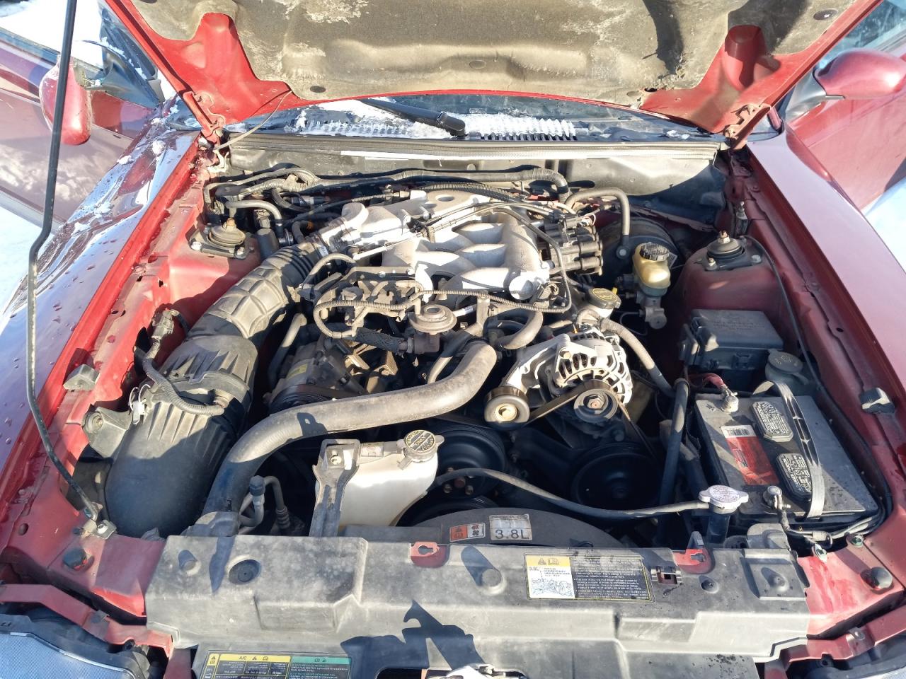 Photo 7 from auction – 2004 FORD MUSTANG with VIN 1FAFP40494F121649
