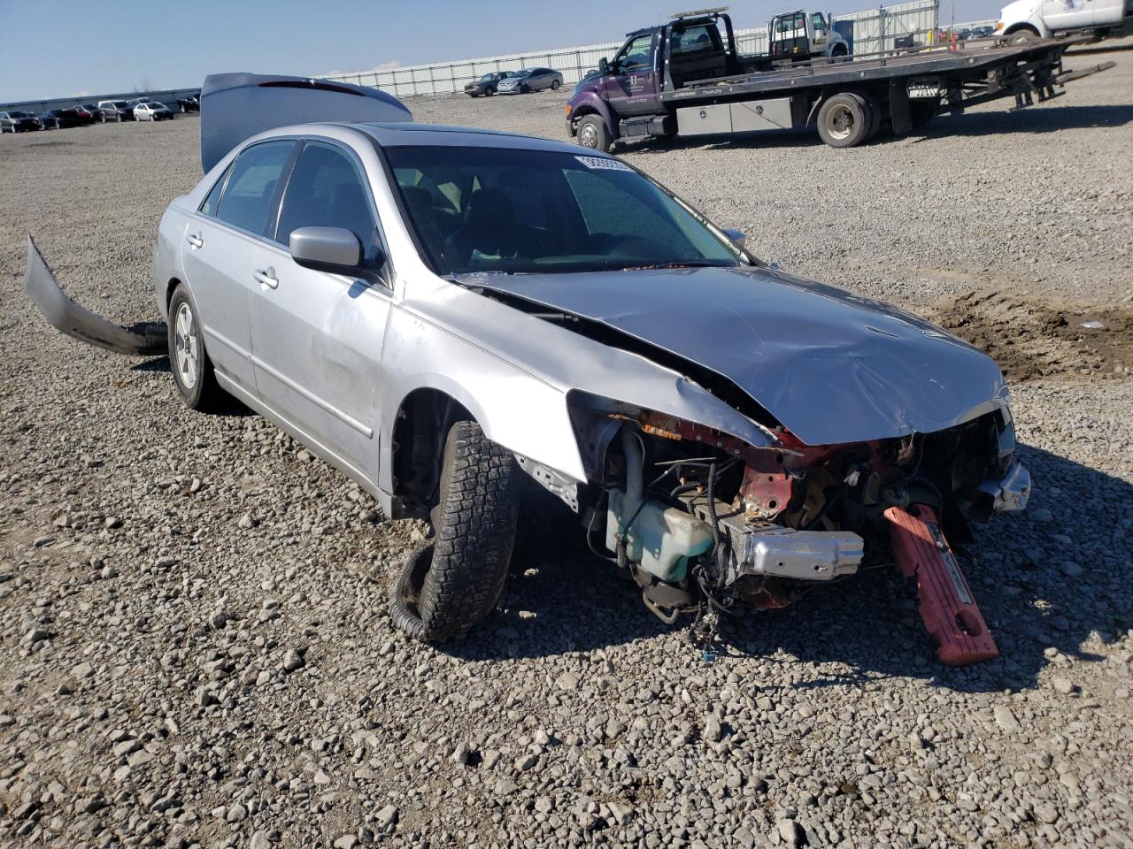 HONDA ACCORD EX 2007 with VIN 1HGCM66507A030273 - Photo from auction
