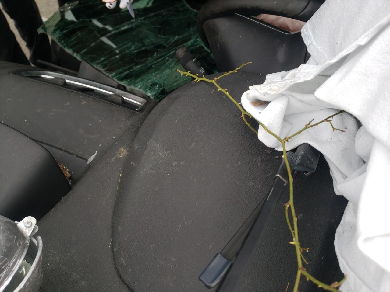 Photo 8 from auction – 2014 BUICK ENCORE CON with VIN KL4CJFSB5EB705829