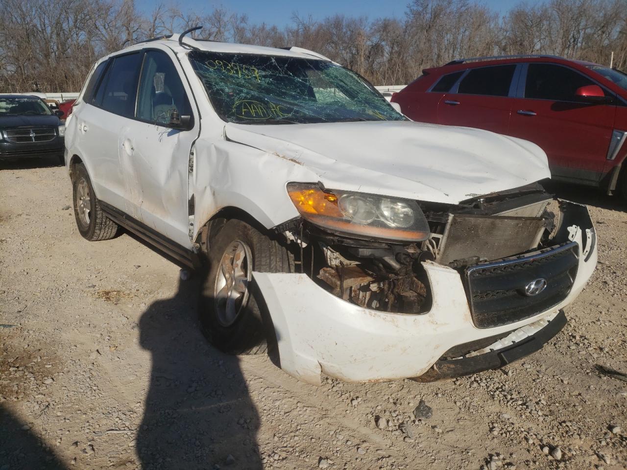 HYUNDAI SANTA FE G 2007 with VIN 5NMSG13D77H093957 - Photo from auction