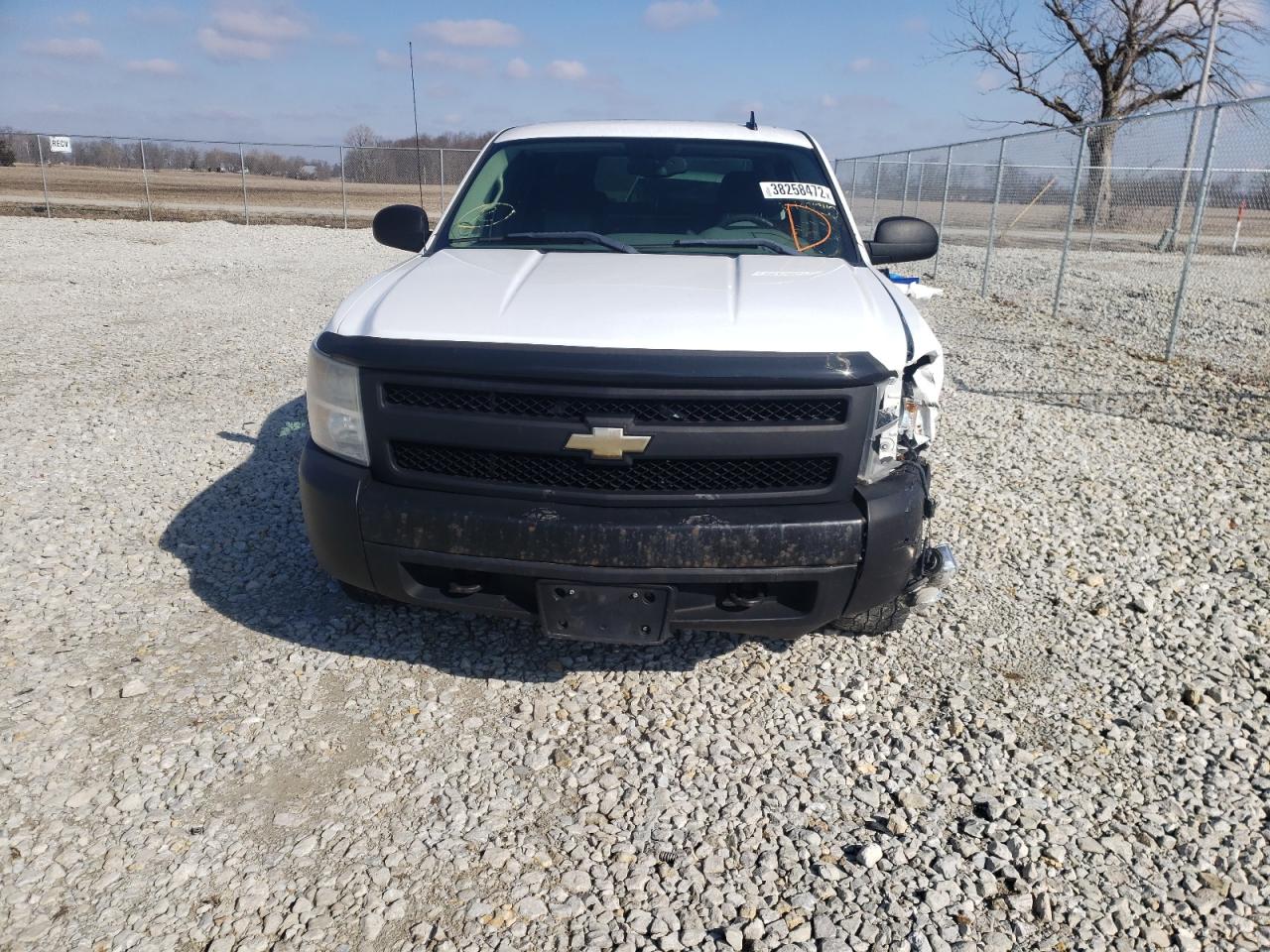 Photo 9 from auction – 2008 CHEVROLET SILVERADO with VIN 1GCEC19JX8E142370
