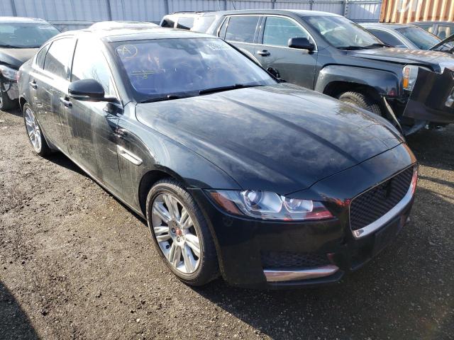JAGUAR XF PREMIUM 2017 with VIN SAJBJ4BV3HCY29615 - Photo from auction