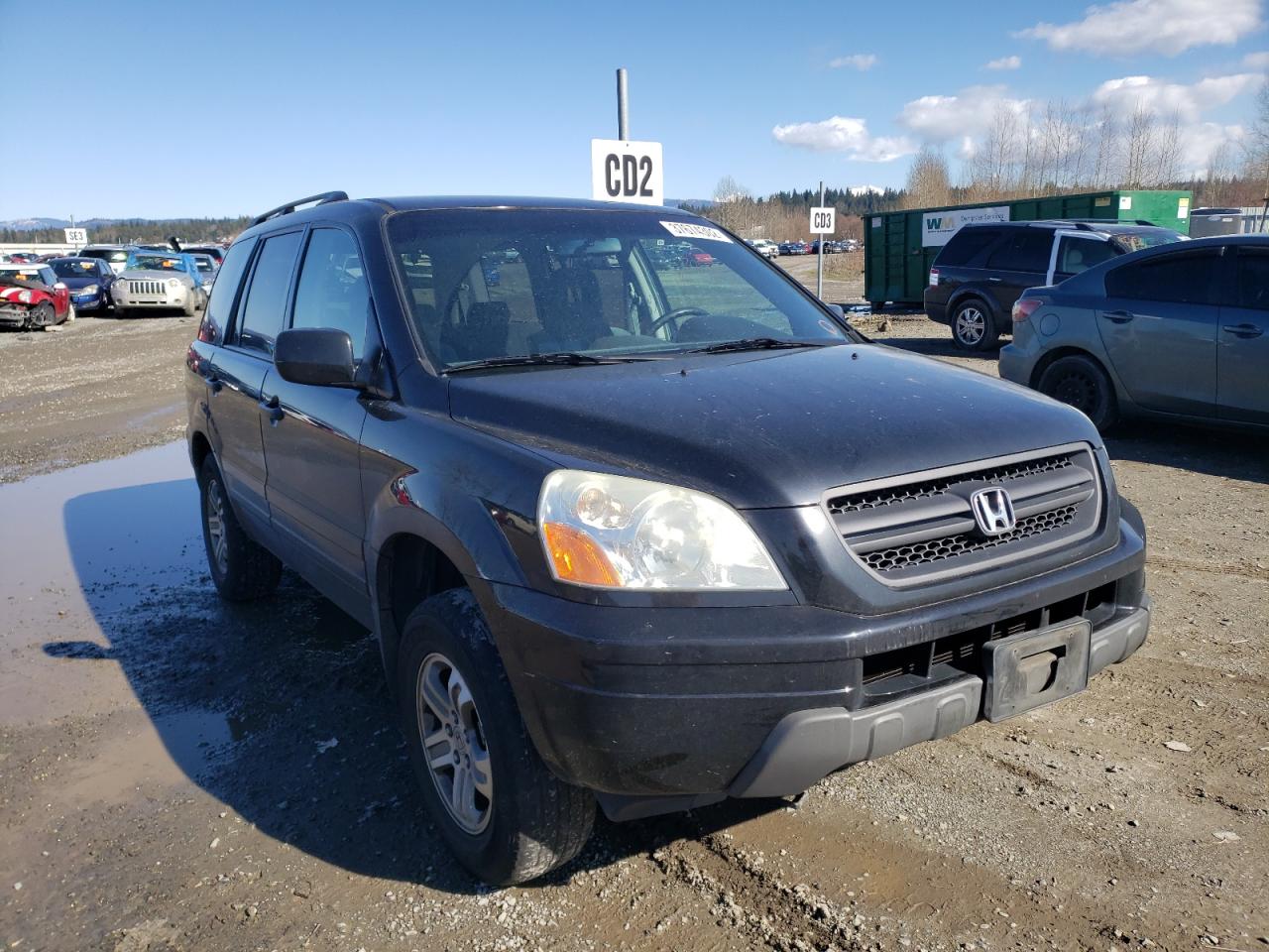 HONDA PILOT EX 2003 with VIN 2HKYF18483H605762 - Photo from auction