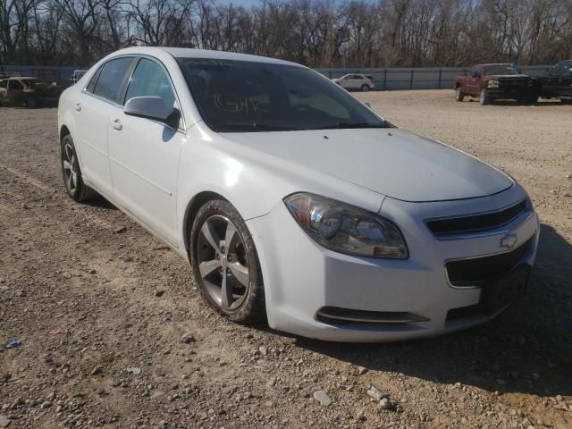 CHEVROLET MALIBU 1LT 2011 with VIN 1G1ZC5E16BF353980 - Photo from auction