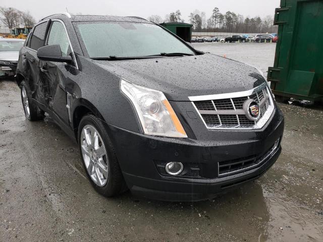 CADILLAC SRX PERFOR 2011 with VIN 3GYFNBEY0BS511879 - Photo from auction