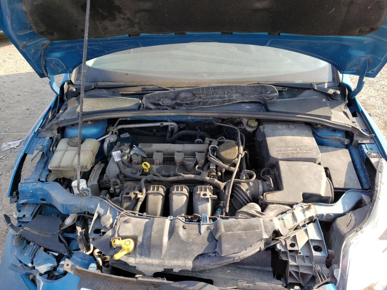 Photo 7 from auction – 2013 FORD FOCUS SE with VIN 1FADP3K20DL371506