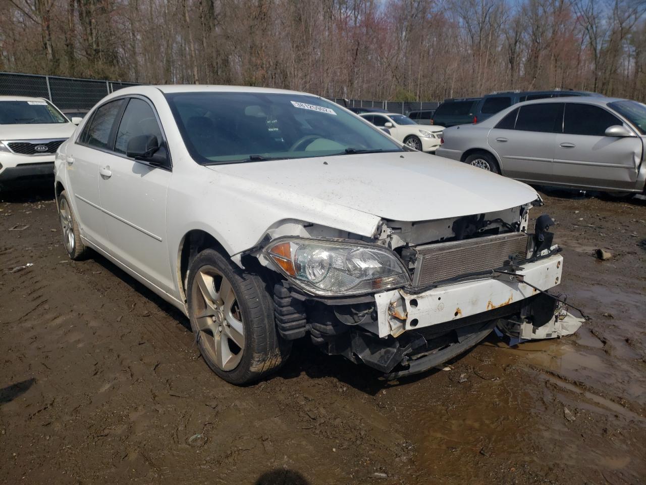 CHEVROLET MALIBU LS 2011 with VIN 1G1ZB5E17BF219465 - Photo from auction