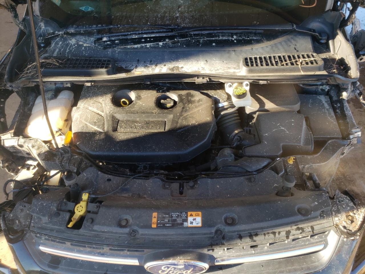 Photo 7 from auction – 2014 FORD ESCAPE SE with VIN 1FMCU9G93EUC77215