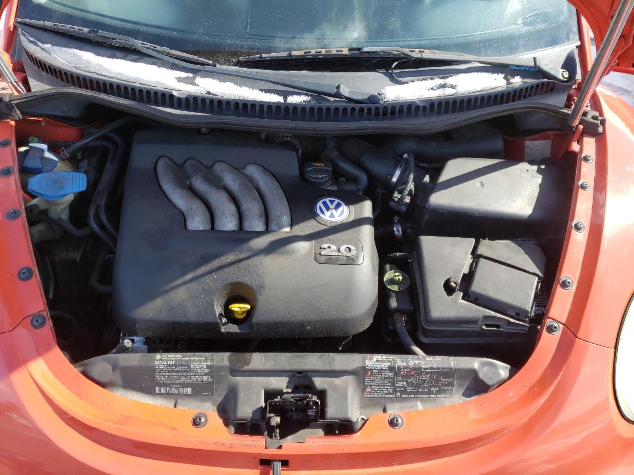 Photo 7 from auction – 2003 VOLKSWAGEN NEW BEETLE with VIN 3VWCK21C33M409152