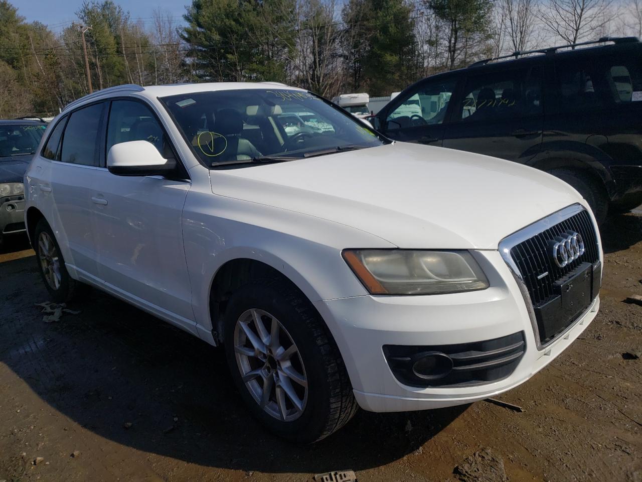 Photo 1 from auction – 2009 AUDI Q5 3.2 with VIN WA1KK78R19A036652