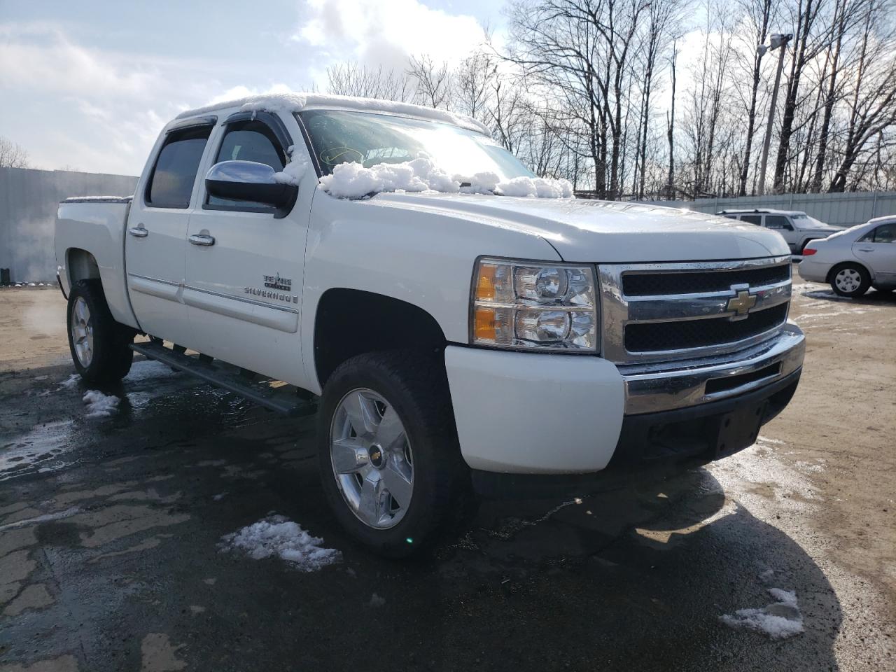 CHEVROLET SILVERADO 2009 with VIN 3GCEC23J29G248417 - Photo from auction