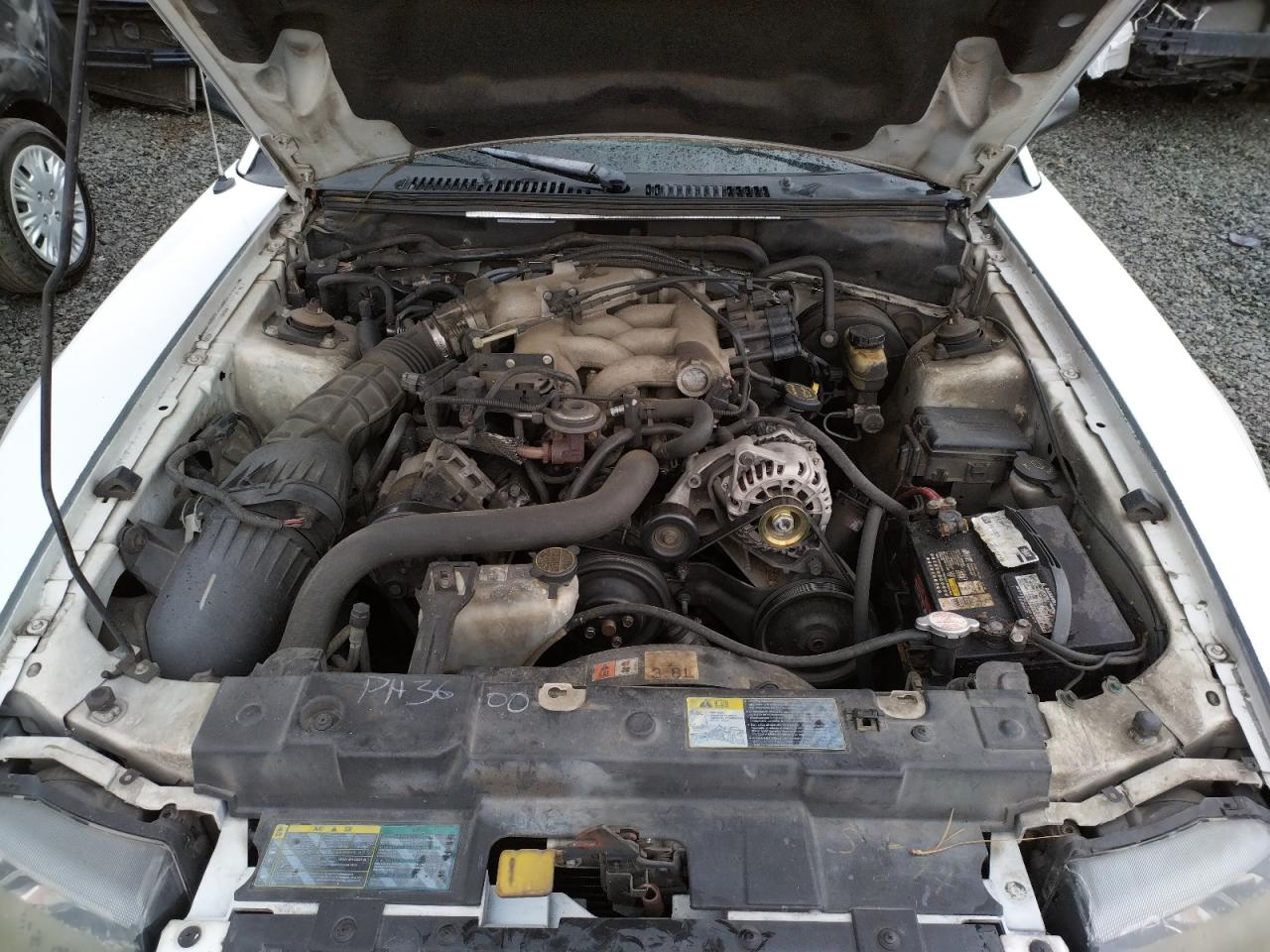 Photo 7 from auction – 2003 FORD MUSTANG with VIN 1FAFP40433F358734