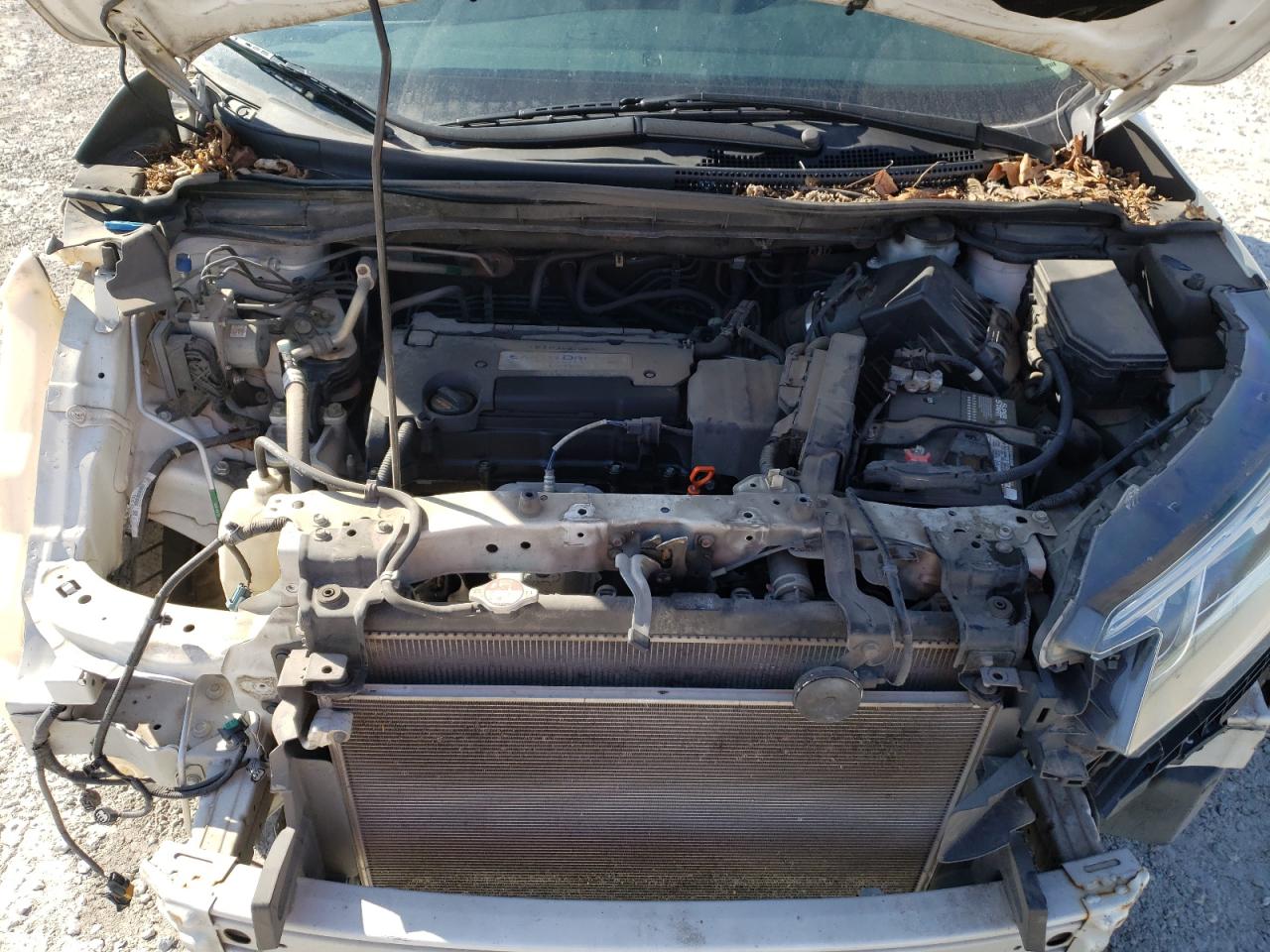 Photo 7 from auction – 2015 HONDA CR-V EX with VIN 5J6RM4H57FL088520