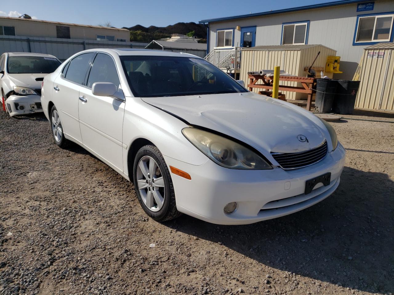 LEXUS ES 330 2005 with VIN JTHBA30G255056051 - Photo from auction
