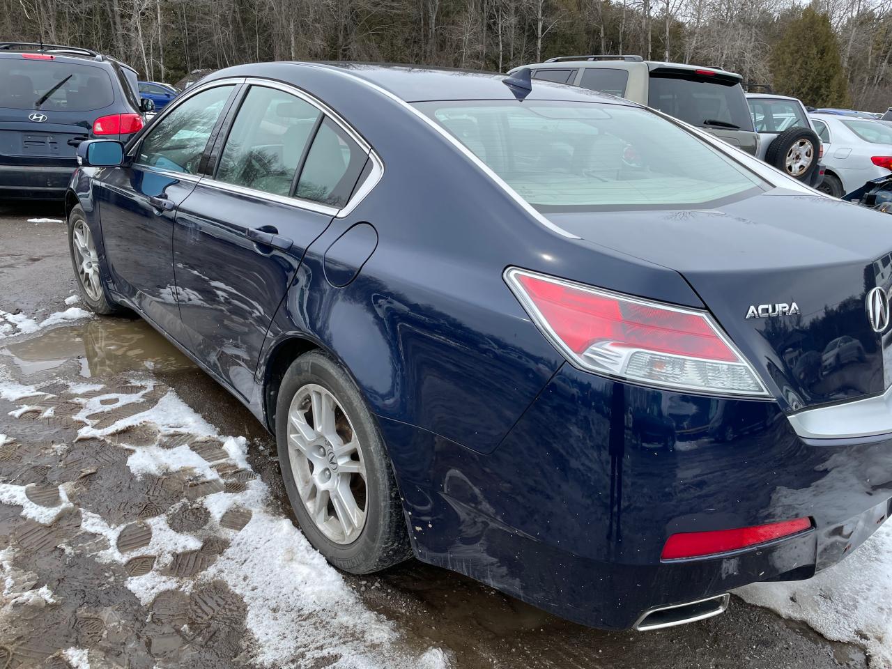 Photo 3 from auction – 2009 ACURA TL with VIN 19UUA862X9A801050