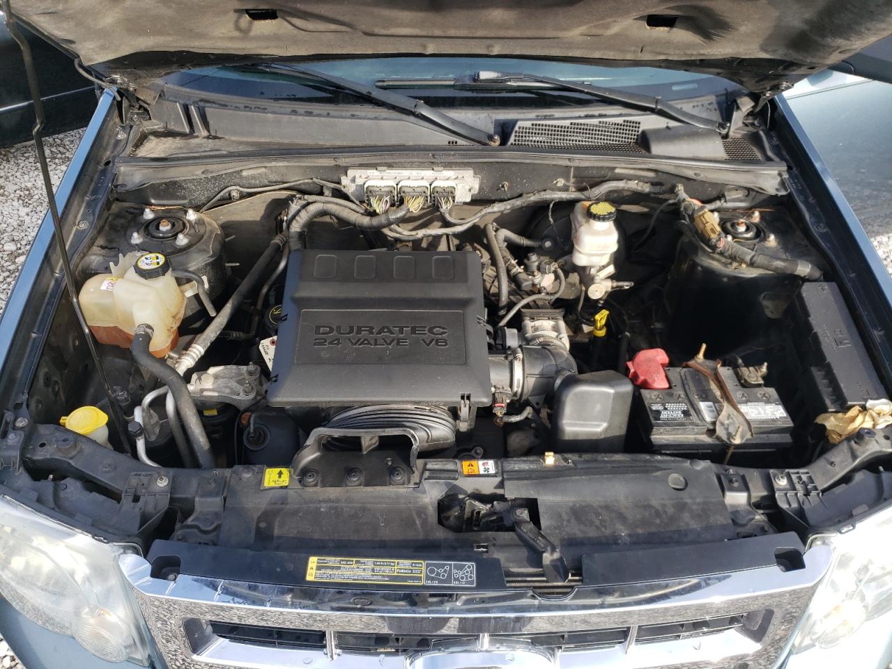 Photo 7 from auction – 2010 FORD ESCAPE SE with VIN 1FMCU0DG9AKA54505