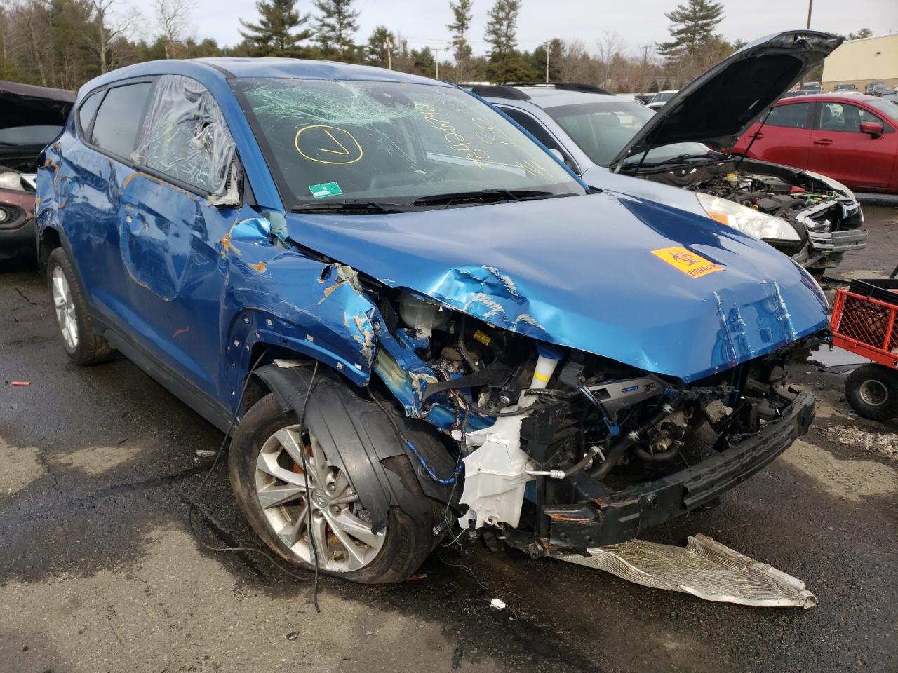 HYUNDAI TUCSON SE 2019 with VIN KM8J2CA47KU027642 - Photo from auction