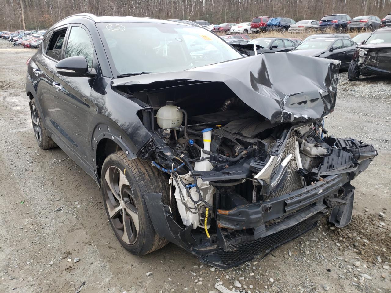 HYUNDAI TUCSON LIM 2016 with VIN KM8J3CA28GU143757 - Photo from auction