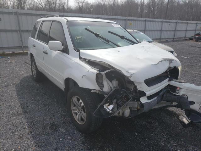 HONDA PILOT EXL 2005 with VIN 5FNYF18645B067029 - Photo from auction