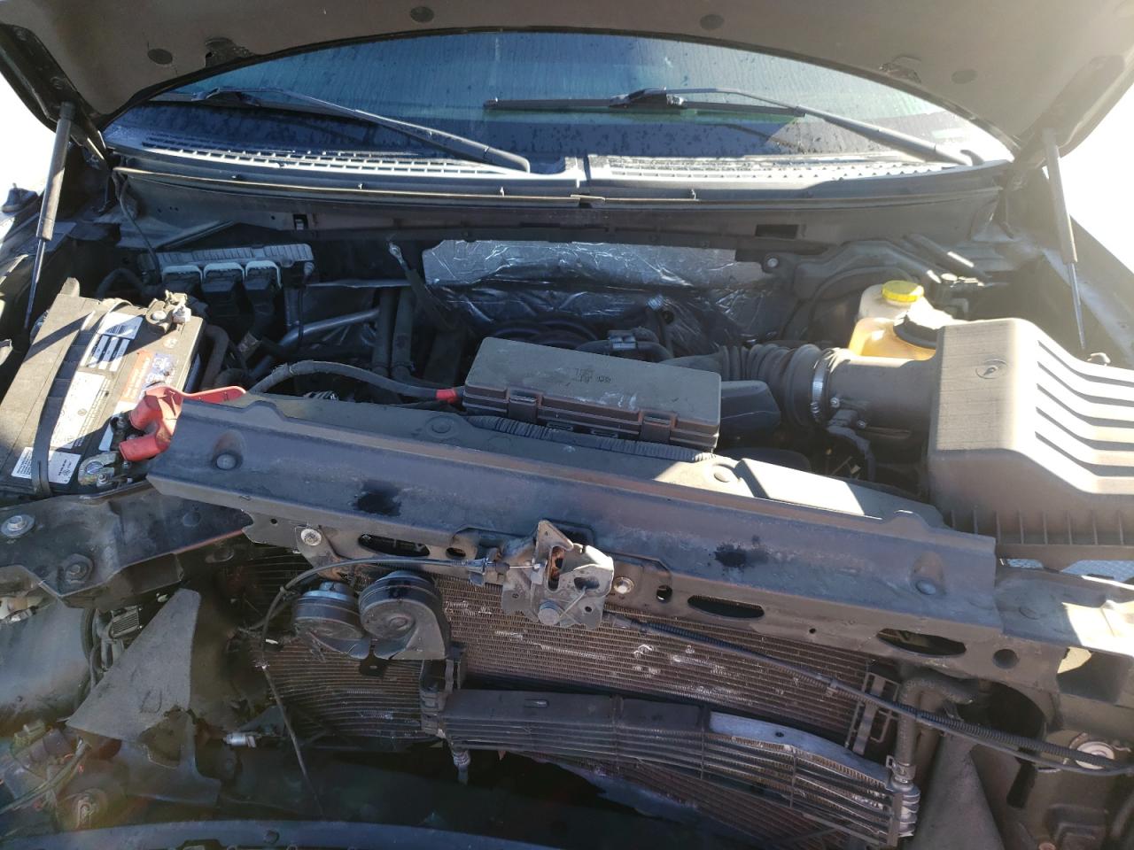 Photo 7 from auction – 2014 FORD F150 SUPER with VIN 1FTFW1EF7EFD06337
