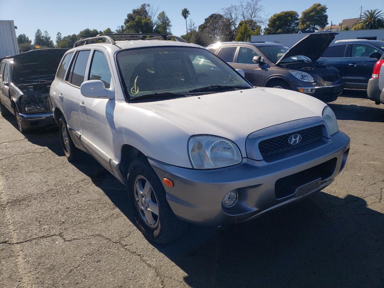 Photo 1 from auction – 2004 HYUNDAI SANTA FE with VIN KM8SC13D14U798281