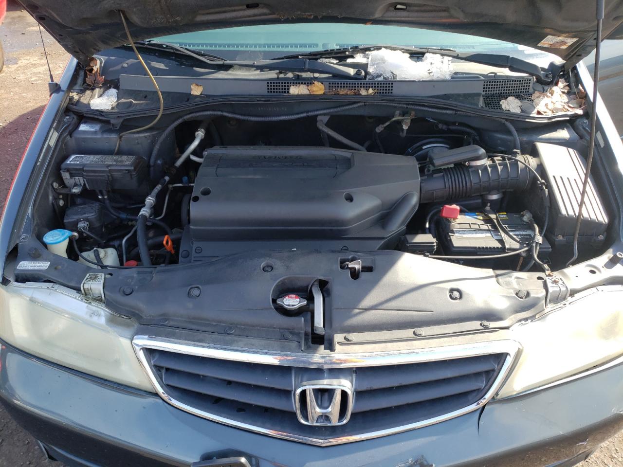 Photo 7 from auction – 2004 HONDA ODYSSEY EX with VIN 5FNRL186X4B082193