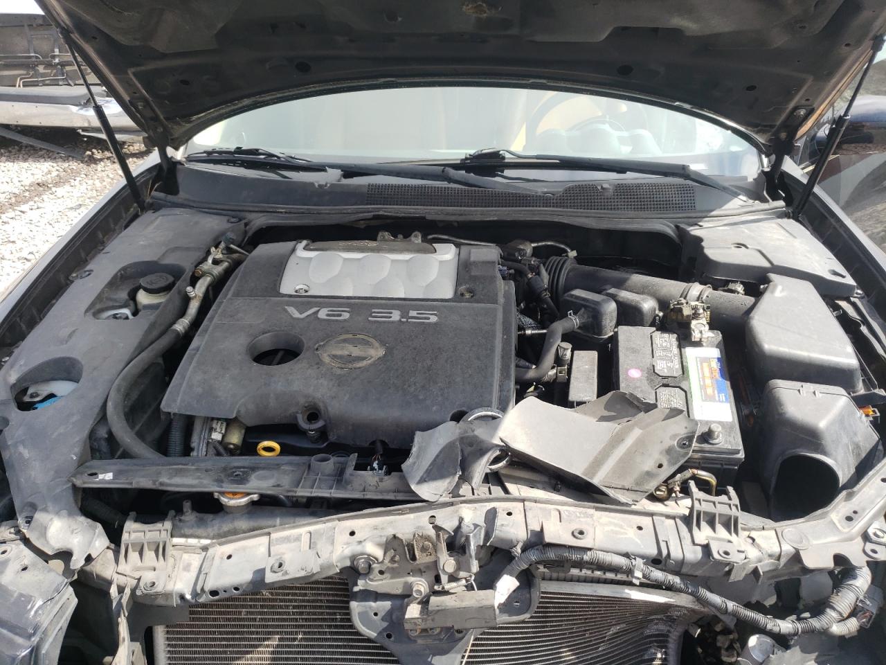 Photo 7 from auction – 2004 NISSAN MAXIMA SE with VIN 1N4BA41E44C915645