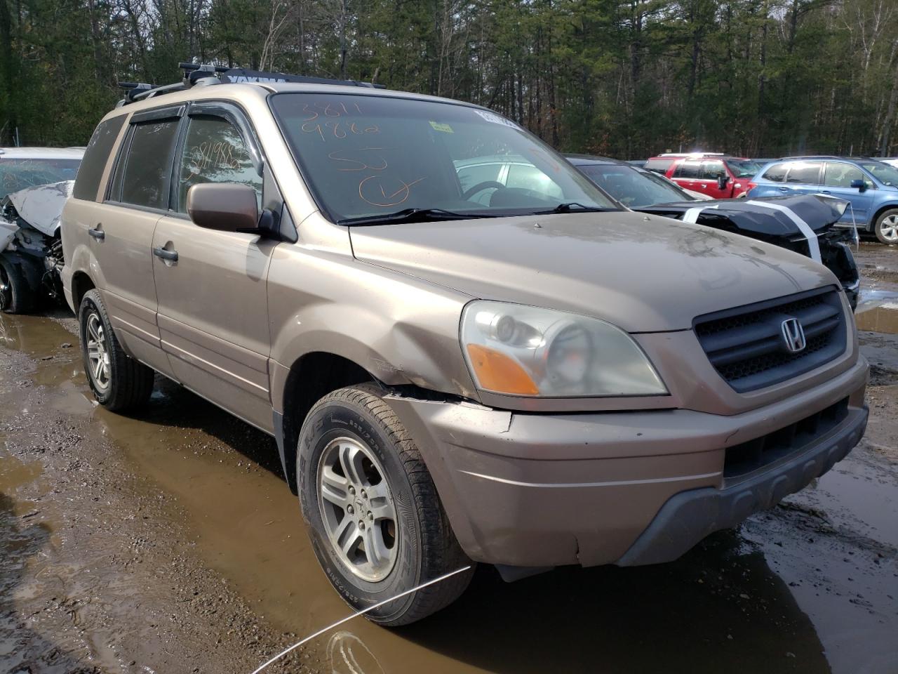 HONDA PILOT EX 2003 with VIN 2HKYF18483H531193 - Photo from auction