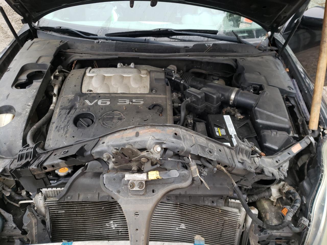 Photo 7 from auction – 2006 NISSAN MAXIMA SE with VIN 1N4BA41E76C836957